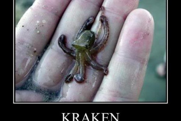 Кракен настоящее зеркало