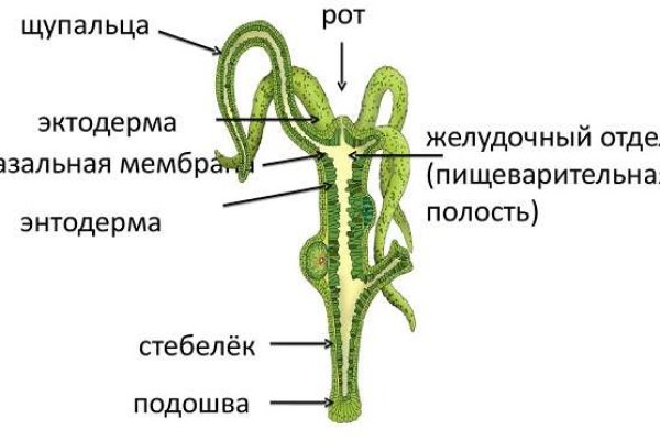 Kraken tor onion зеркало