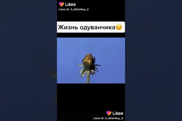 Кракен сайт тор ссылка