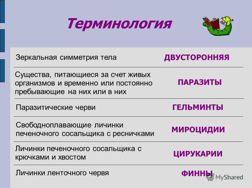 Кракен даркнет как зайти